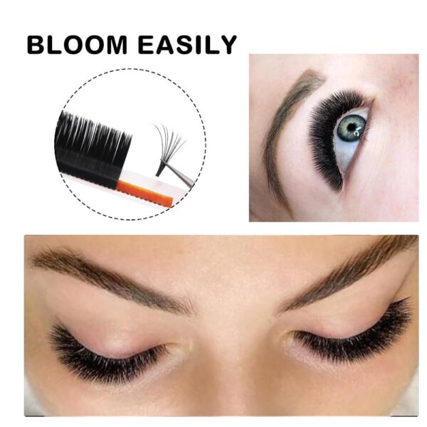 0.05/0.07/0.10 C/D Blomming Eyelashes Set